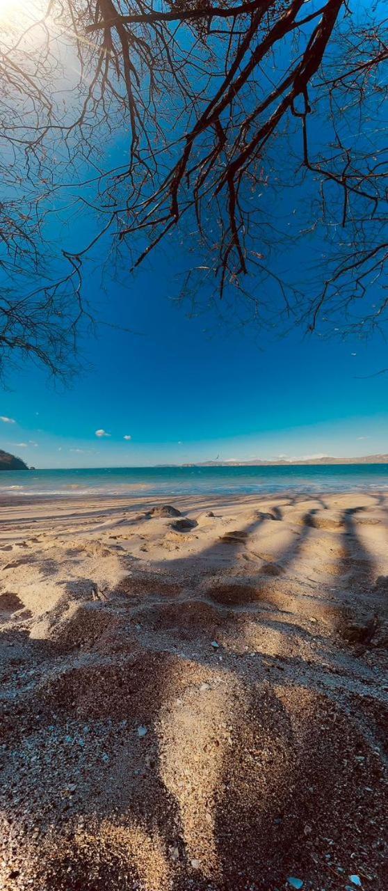 Tamarindo Beach, Prime Location, Fantastic Watersalt Pool & Cold Plunge, Family & Friends 외부 사진